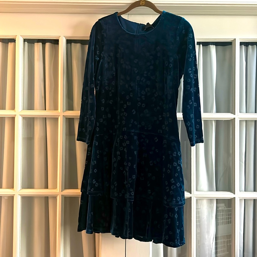 Peacock blue DKNY 3/4 sleeve velvet dress.